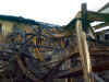 DSC00009.jpg (52681 byte)