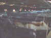 DSC00043.jpg (89918 byte)