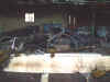 DSC00047.jpg (37816 byte)